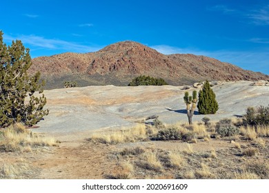 Seared Rocks and Mountains in the Desert in tHe Mojave National Preserve in California