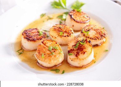 Seared Scallop