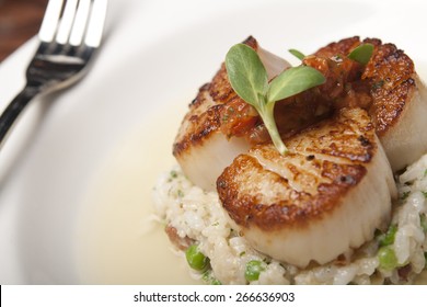 Seared Scallops