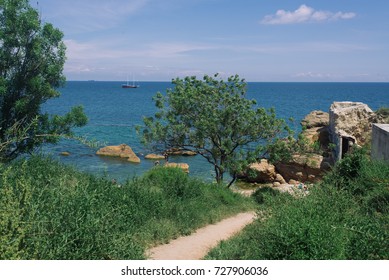 Seascape 