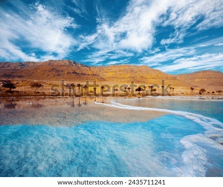 Seascape with beautiful cloudy sky. Dead Sea seashore with palm trees and mountains on background