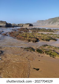 Seascape of Carriagem beach at low tide.