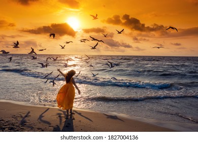 Seascape during sunrise with beautiful sky. Woman on the beach, summertime. Young happy woman with hands in the air walks on the seaside in orange dress. Seagulls flying on the beach. - Powered by Shutterstock