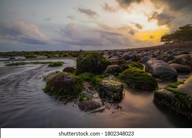 Seascape during sunset. Beach with many stones covered by long green seaweeds. Ocean low tide. Nature background. Cloudy sky. Horizontal layout. Selected art focus. Klotok beach, Bali, Indonesia - Powered by Shutterstock