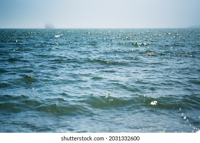 Seascape With Fishing Vessel On The Roadstead.