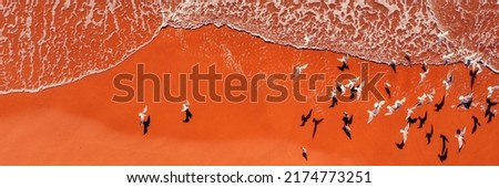 Seascape  with flying  seagulls and sandy beach, sand and waves, top view, abstract nature landscape background. Horizontal banner
