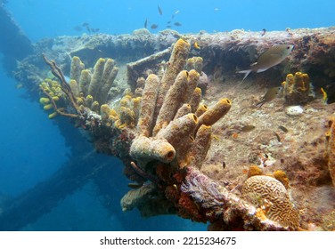 Seascape On The Antilla Wreck In The Tropical Western Atlantic 