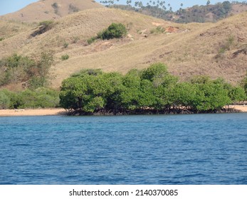 Seascape, Pacific Islands. Natural Landscape. High Quality Photo