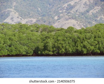 Seascape, Pacific Islands. Natural Landscape. High Quality Photo