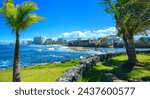 Seascape with Palm Trees, curved volcanic stone walls, green garden, coastal buildings, and floating white clouds at Sunrise in San Juan, Puerto Rico, tranquil beauty on Condado Beach