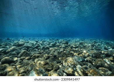 seascape panorama underwater flock of fish in the water - Shutterstock ID 2309841497