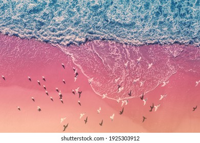 Seascape with seagulls on sandy beach. Top view of sand and waves. Abstract nature landscape background. Artistic gradient color