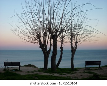 Seascape and Spring