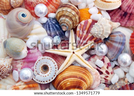 Seashell background with pearls. Many different colorful seashells and starfish and white pearls.