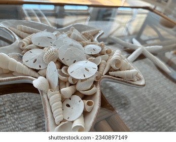 Seashell coastal beach house decor