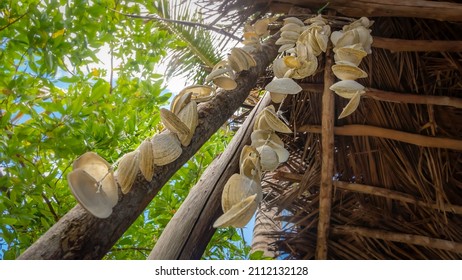 Seashell Decor In Rustic Cabin Seen From Below. Castelhanos Beach, Bahia, Brazil.