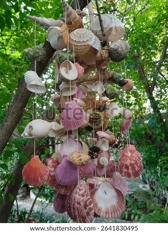 A seashell mobile can be used to decorate your room beautifully