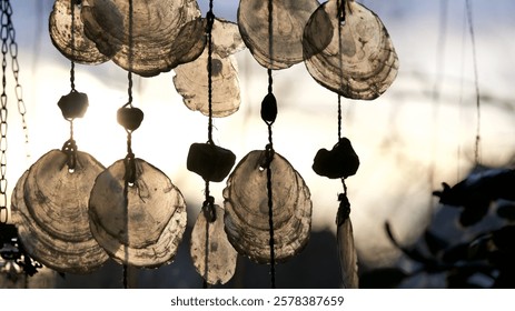 Seashell mobile in a window at sunset.