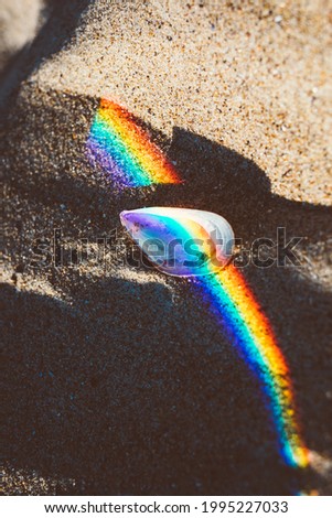 Seashell on sandy seashore with rainbow spectral light reflection.