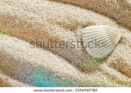 Seashell on Smooth Sandy background, One shell on fine sand with gentle wave pattern, minimal and peaceful beach-inspired composition under soft light with sunlight rainbow glare, top view, copy space