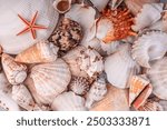 Seashell texture background. Marine oceanic  shells pattern. Tropic vocation.