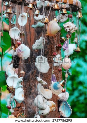 Seashell Windchime Hanging Decoration Rustic Closeup Vertical Multicolor Garden
