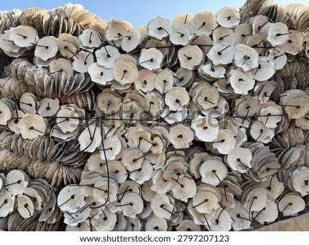 Seashells are bonded together after using