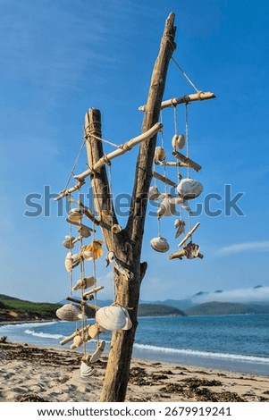Seashells hang from a branch attached with a string on a sandy beach by the sea. The shells vary in size and type. In the background there is a blue sky and ocean, and green hills.