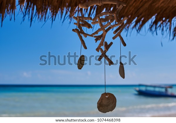 Seashells Hanging On Strings Decoration Hanging Stock Photo Edit