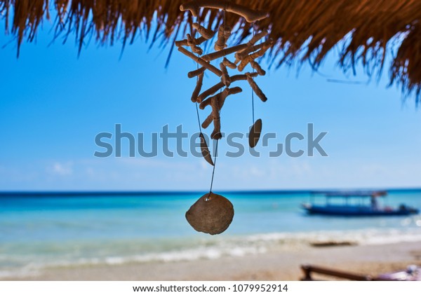 Seashells Hanging On Strings Decoration Hanging Stock Photo Edit