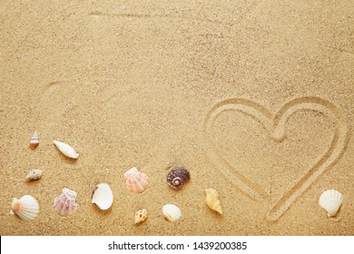 Seashells and heart drawn on beach sand