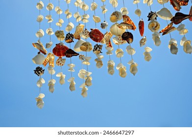 Seashells of many sizes Different patterns, pierced into a bunch. beautifully decorated 