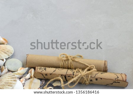 seashells on a gray background, map