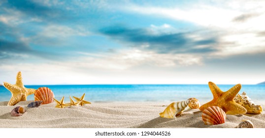 Seashells On The Sand By The Sea On A Hot Sunny Day