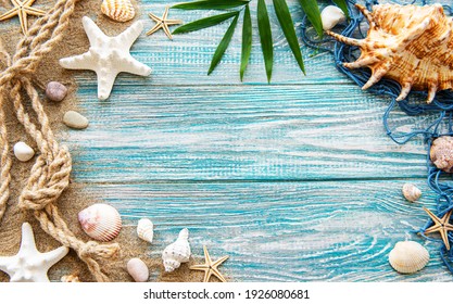Seashells on sand. Sea summer vacation background with space for the text. Top view