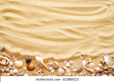 Seashells on sand. Sea summer vacation background with space for the text