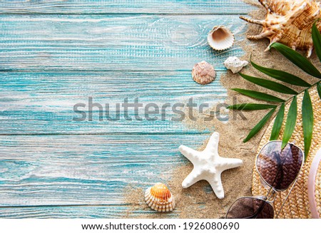 Seashells on sand. Sea summer vacation background with space for the text. Top view