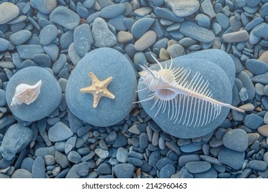 Seashells and starfish lie on sea beach on round pebble stones on summer sunny day close-up. Concept of relaxing holiday by sea. - Powered by Shutterstock