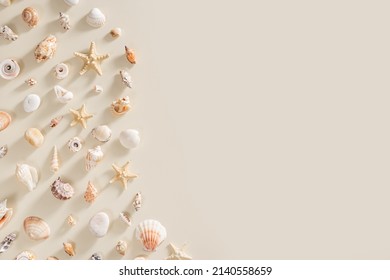 Seashells and starfish with long shadows on beige background. Summer concept. Nautical pattern pastel colored. Aesthetic trend layout shells, sea stars, minimal style creative composition, copy space
