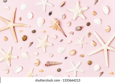 ピンクの貝殻 の画像 写真素材 ベクター画像 Shutterstock