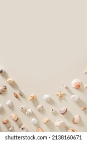 Seashells and starfish with shadows on beige pastel background at sunlight. Summer vacation concept. Nautical design. Modern flat lay shells, sea stars, stones minimal style card. Top view, copyspace - Shutterstock ID 2138160671