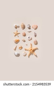 Seashells and starfish with shadows on beige pastel background at sunlight. Summer vacation concept. Nautical pattern. Modern flat lay shells, sea stars, stones minimal style design card. Top view.