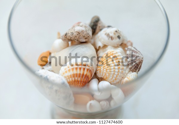 Seashells Thick Glass Vase Decoration Vacation Stock Photo Edit