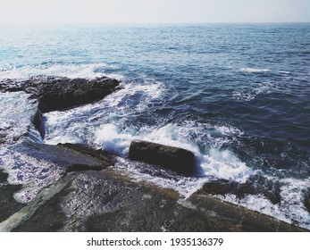 Seashore In Artek In Summer