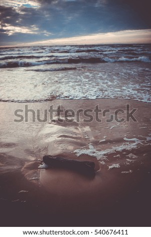 Strandgut Ostsee Meer