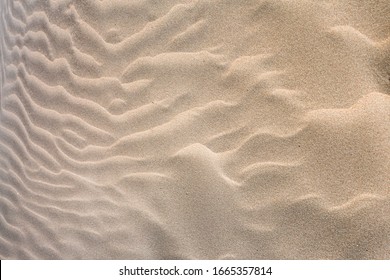 seaside and beach  in sunny day