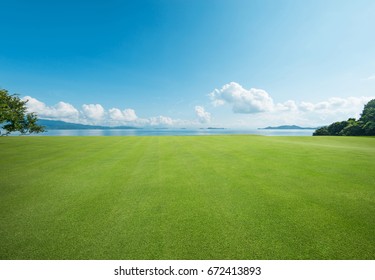 Seaside  Grassland