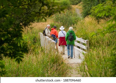 Seaside, Oregon - 8-5-2011: A Group Of Hikers On A Stream Crossing Bridge On A Oregon Coast Hiking Trail Near Seaside.