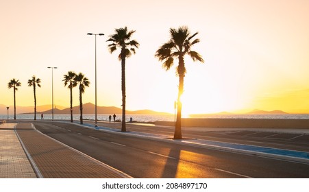 Seaside,  Road, Palm And Sunset Landscape