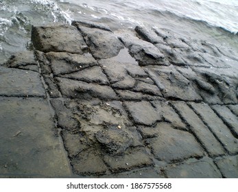 Seaside Rocks 
Tessellated Pavement Tasmania